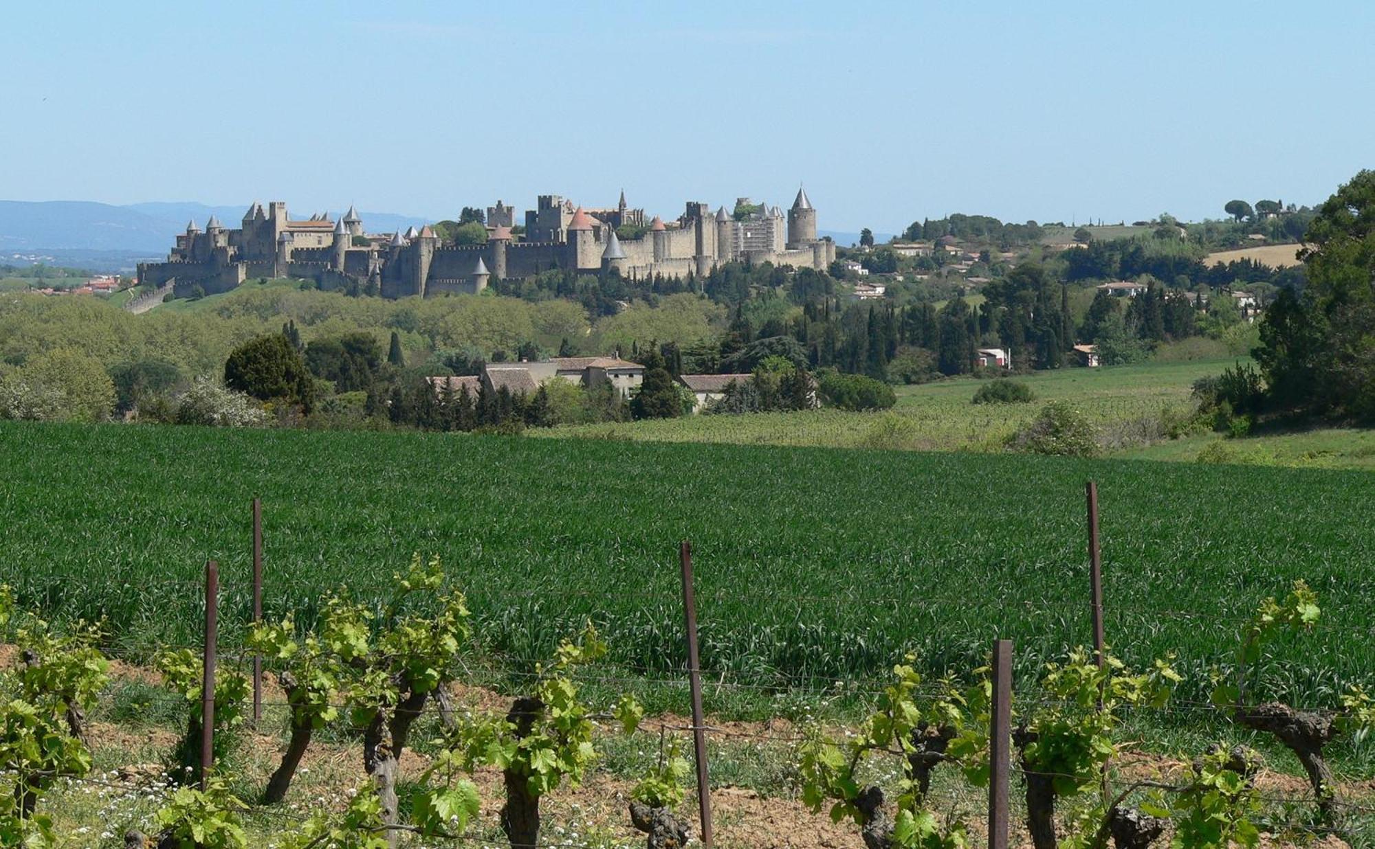 La Petite Chambre Du Lac Carcassonne Esterno foto